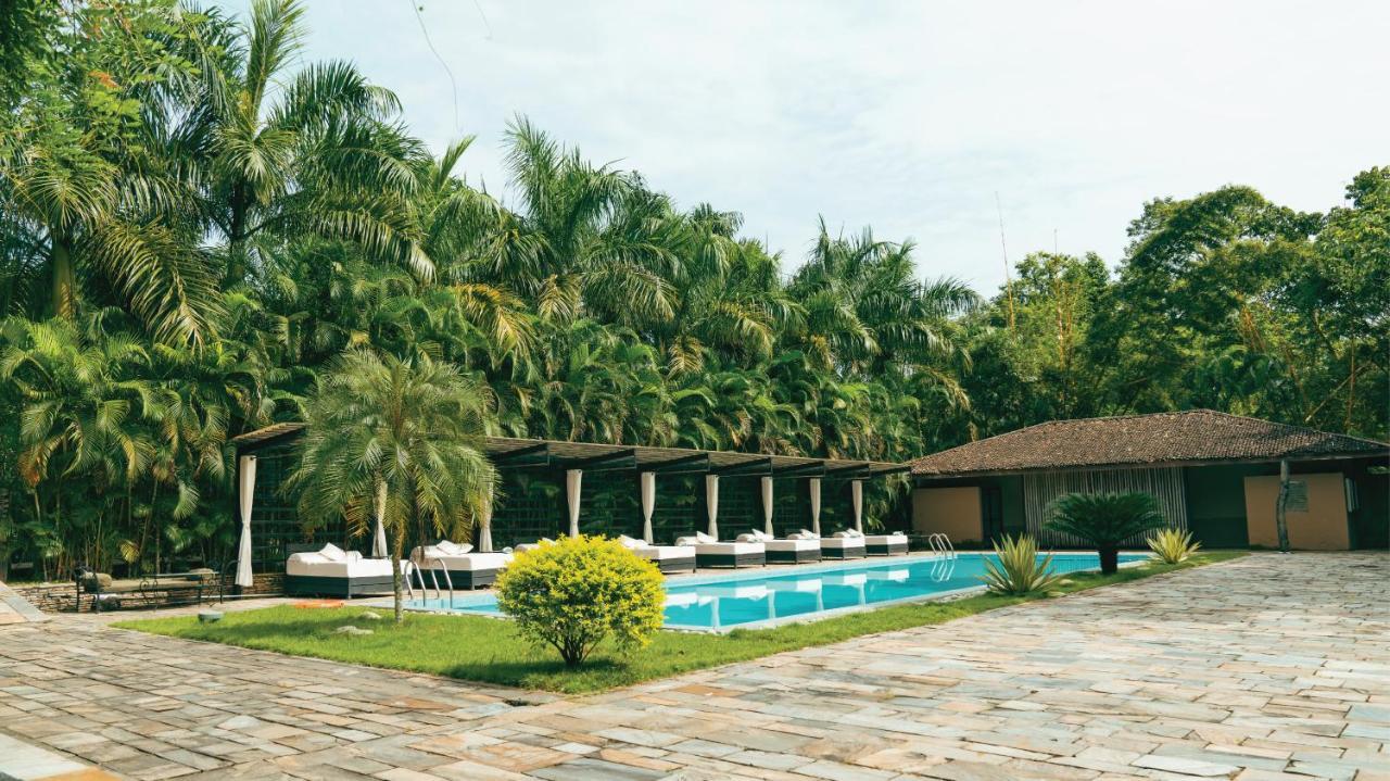 Kasara Chitwan Hotel Patlahara Luaran gambar